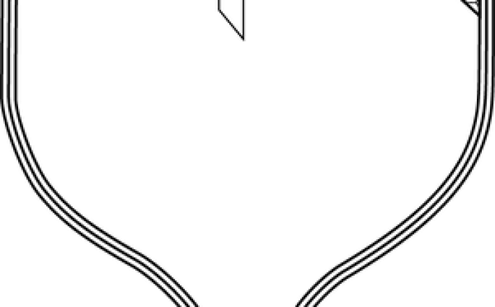 Tempest Wave Pro-C 14.3