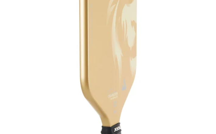 JOOLA Tyson McGuffin 